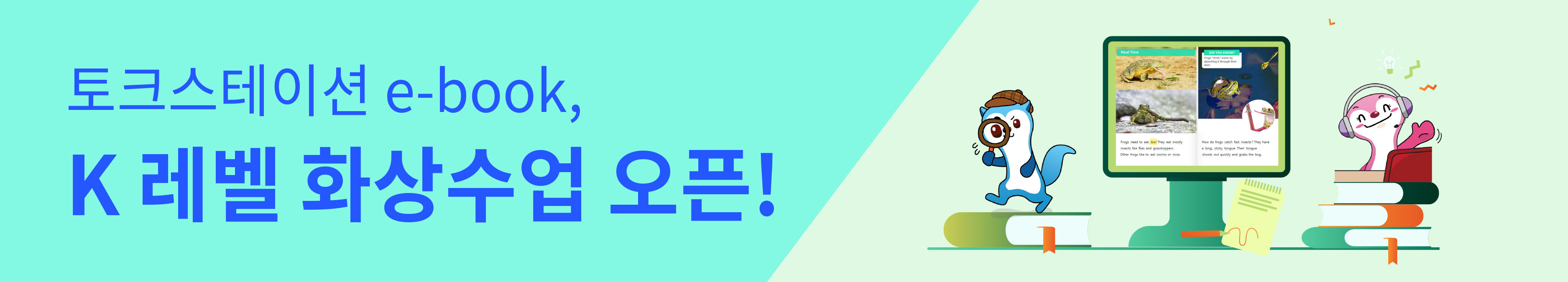 11월 신규 컨텐츠