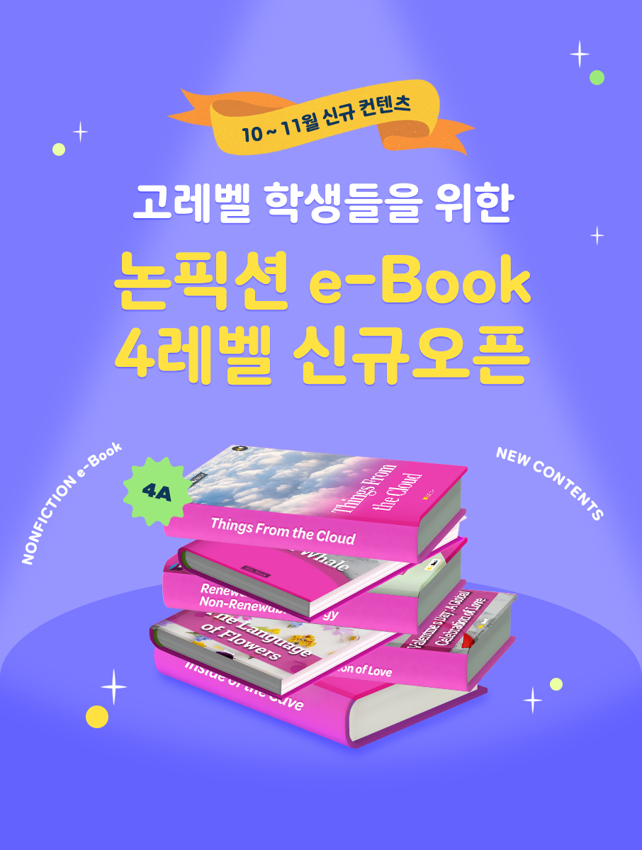 10,11월 신규컨텐츠