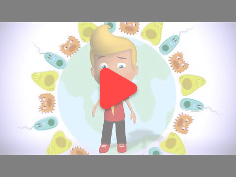 자연탐구, 과학, 신체건강