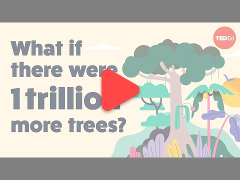 환경, 과학, 자연