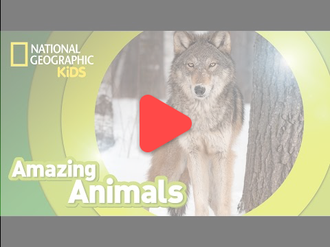 이북을 읽고 북퀴즈 및 북보카 학습