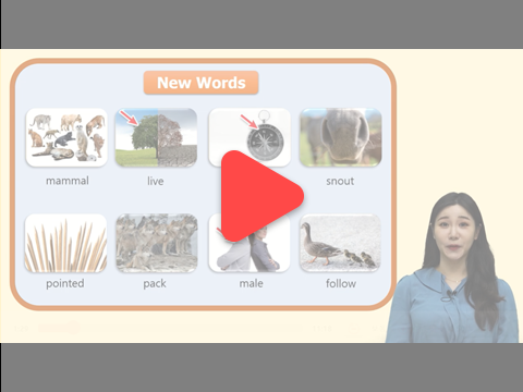 아이딕 교재 + 수업영상