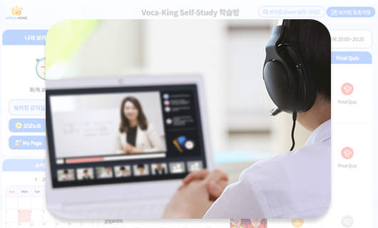 학습 현황 확인